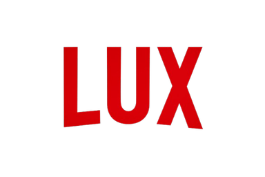Netflix Luv Logo